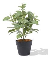 HEMA Kunstplant ⌀10x10cm rechtop (groen) - thumbnail