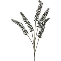 Phytolacca zwart 93cm - thumbnail