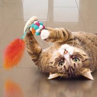 KONG CAT ACTIVE BUBBLE BAL ASSORTI 5,5X5,5X23 CM - thumbnail