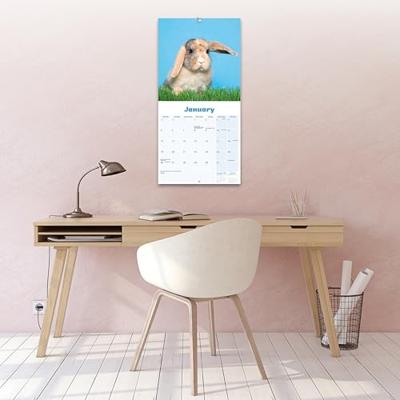 Rabbits - Lop Eared Calendar 2026 Square Animal Wall Calendar - 16 Month