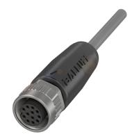 BALLUFF BCC06UT Sensor/actuator aansluitkabel 1 stuk(s) - thumbnail