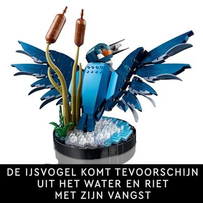 10331 LEGO® ICONS™ IJsvogel