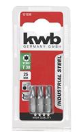 Schroefbit 1/4 inch torx T30 25 mm 3 stuks kaart Eurofix - Eurofix - thumbnail