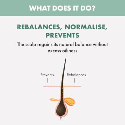 Alfaparf Semi di Lino Scalp Care Purifying Low Shampoo 1000ml