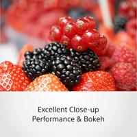 Sony E 16-70mm F/4.0 ZA OSS ZEISS Vario-Tessar T* (SEL1670Z.AE) - thumbnail