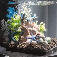 BiOrb zeester set 3 blauw aquarium decoratie - thumbnail
