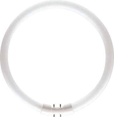 TL5 C 40W/830 - Fluorescent lamp ring shape 40W 18mm TL5 C 40W/830 TL5 C 40W/830 - Fluorescent lamp ring shape 40W 18mm TL5 C 40W/830