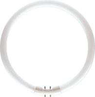 TL5 C 40W/830  - Fluorescent lamp ring shape 40W 18mm TL5 C 40W/830 - thumbnail