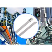 TRU COMPONENTS TC-12656540 Stalen kabelbinder 840 mm 7.9 mm AISI 304 100 stuk(s) - thumbnail