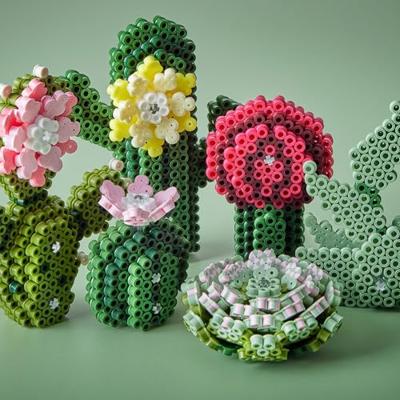 Hama Strijkkralen DIY Midi 3D Art Succulents 6000 Stuks