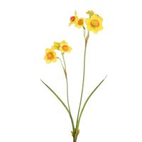 Roberts Collection Kunstbloem paperwhite geel 58cm - thumbnail