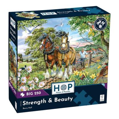 Strength & Beauty Puzzel 250 XL Stukjes