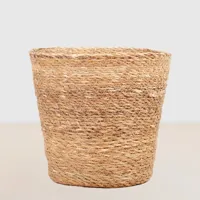 Sofia - P21 - thumbnail