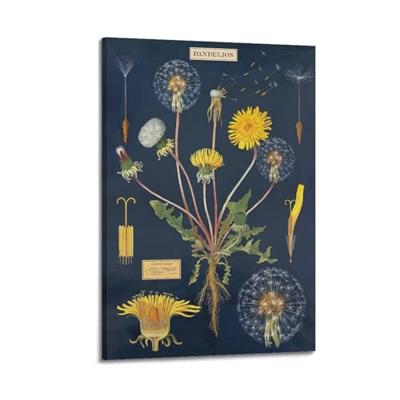 Samsung Galaxy A56 5G 128 GB Graphite Energielabel B (A - G) 17 cm (6.7 inch) Smartphone