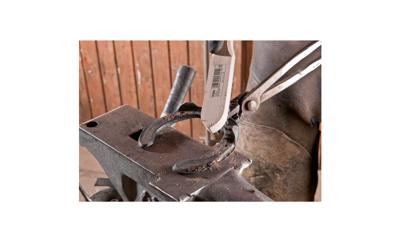 PFERD TOOLS Hbu Staalborstel RVS 290 mm 10 stuk(s)