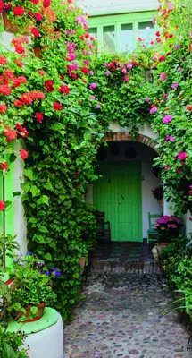 Alexsar Art Tuinschilderij bloemen deur 130x70cm