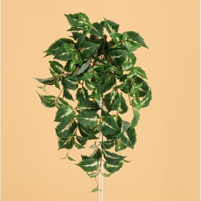 Coleus blanco Kunst hangplant 50cm