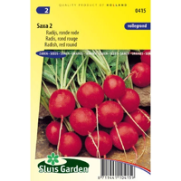 Radijs zaden Saxa 2 - thumbnail