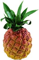 Nino Percussion NINO595 ananas-shaker - thumbnail