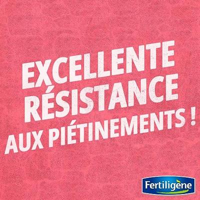 FERTILIGENE Universal Rustic Grass - 875 g FERTILIGENE Universal Rustic Grass - 875 g