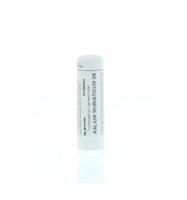 Homeoden Heel Kalium muriaticum D6 6 Gram - thumbnail