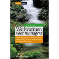 Werkvormen voor managers - Peter de Roode - Hardcover (9789089650320) - thumbnail