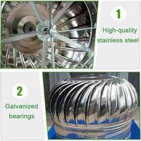 Weidmüller 1989860000 Doorgangsklem 5.1 mm Spanveer Grijs 50 stuk(s) - thumbnail