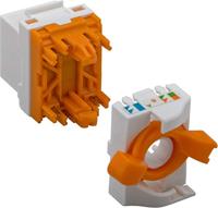 C6A Keystone Rj45 Jack Utp Techly - thumbnail