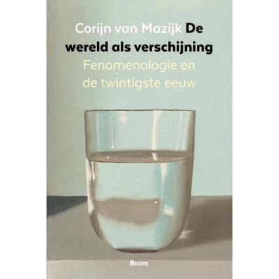 De wereld als verschijning (Paperback)