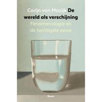 De wereld als verschijning (Paperback) - thumbnail