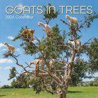 Goats in Trees Kalender 2026 - thumbnail