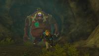 The Legend of Zelda Tears of the Kingdom Collector's Edition - thumbnail