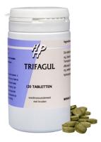 Holisan Trifagul Tabletten 120st - thumbnail