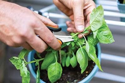 Fiskars Solid Snip kruidenschaar SP220