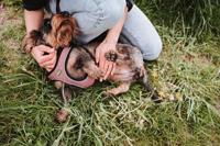 Hondentuigje Hunter Comfort Roze XXS 26-30 cm - thumbnail