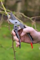 Talentools snoeischaar vbs 20 mm - thumbnail