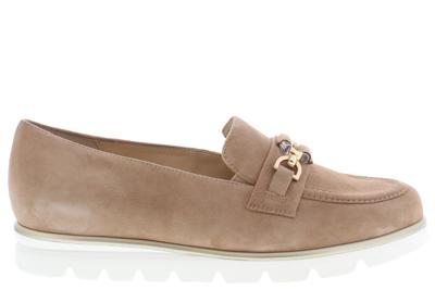 Hassia 301552 - alle Hassia 301552 - alle