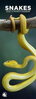 Slangen Slimline Kalender 2026