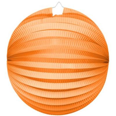 Bollampion Oranje (25cm)