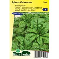 Spinazie (winterspinazie) zaden - Winterreuzen - thumbnail