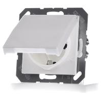 Jung AS1520KIKLWW Wandcontactdoos met randaarde Inzetstuk 1-voudig Alpine-wit 1 stuk(s) - thumbnail