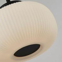 Searchlight Glazen hanglampLumina Ø 24cm - 10272-1BK - thumbnail