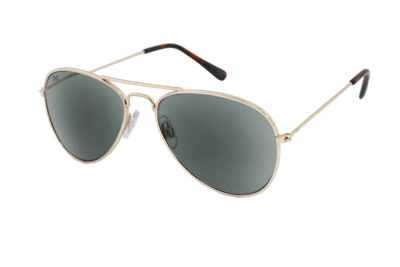 ZonneLeesbril Croon Pilot-Shiny gold-regular-+2.50
