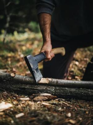 Fiskars Norden hakbijl N10 - 1051143 - 1051143 - thumbnail