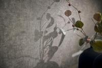 Livingwalls Smart Surfaces - Grijs - Structuur - 395661 - thumbnail