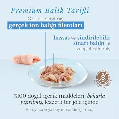 Schesir Cat in Gelatine Adult 85 g Tonijn met Tand
