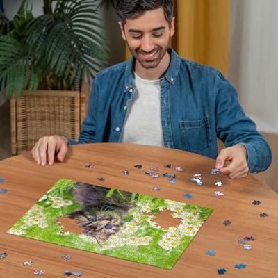 Ravensburger legpuzzel katje in de wei, 500st. Ravensburger legpuzzel katje in de wei, 500st.