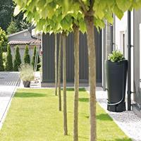 Tube regenton 2in1 230 liter antraciet - thumbnail