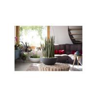 EDA PLASTIQUE - Graphit'Up wastafelpot Ø 40 - 14.9L - Antracietgrijs - thumbnail