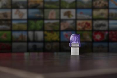 Kingston DataTraveler microDuo 3C 256 GB usb-stick Kingston DataTraveler microDuo 3C 256 GB usb-stick